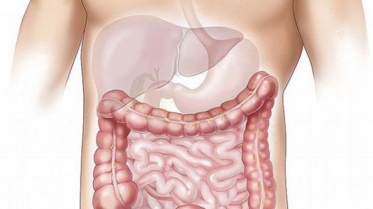 Снимка: pixabay