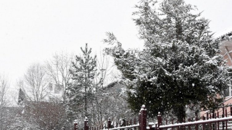 Снимка: архив Bulphoto