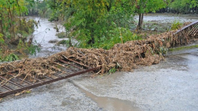 Снимка: архив Bulphoto