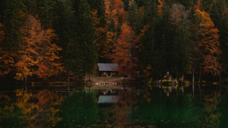 Снимка: visualhunt.com