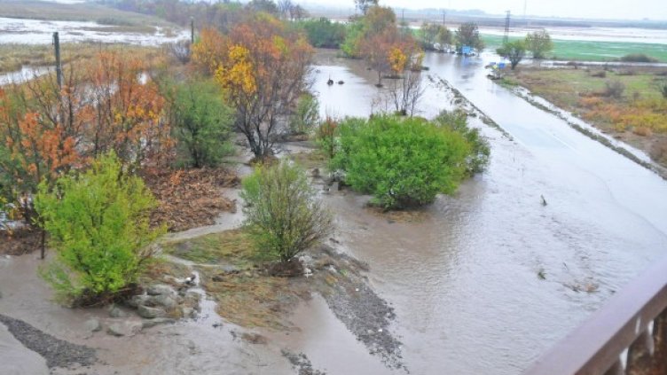 Снимка: Булфото