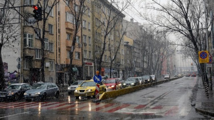 Снимка: Булфото