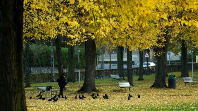 Снимка: архив, Reuters