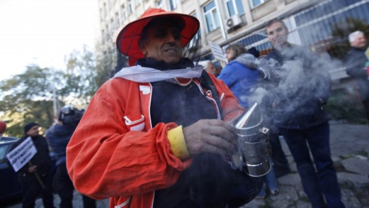 Неизплатени субсидии, критерии... Пчелари на протест