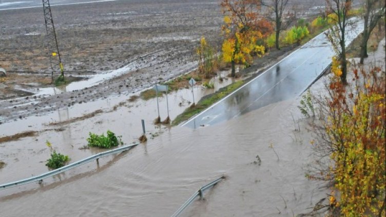 Снимка: архив Bulphoto