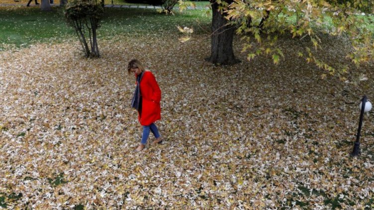 Снимка: Reuters, архив