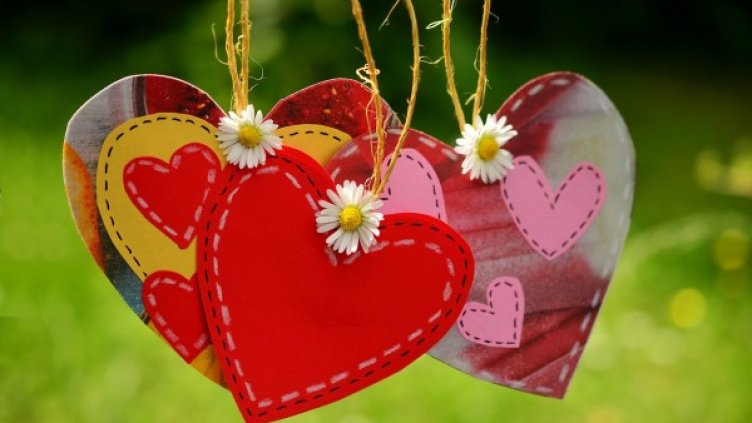 Снимка: pixabay