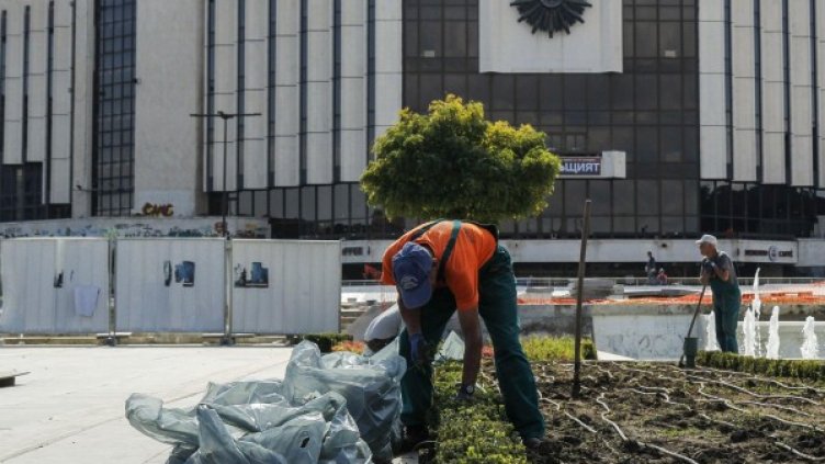 Снимка: архив, Булфото