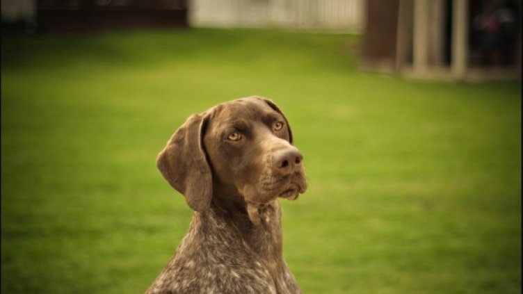 Снимка: Flickr