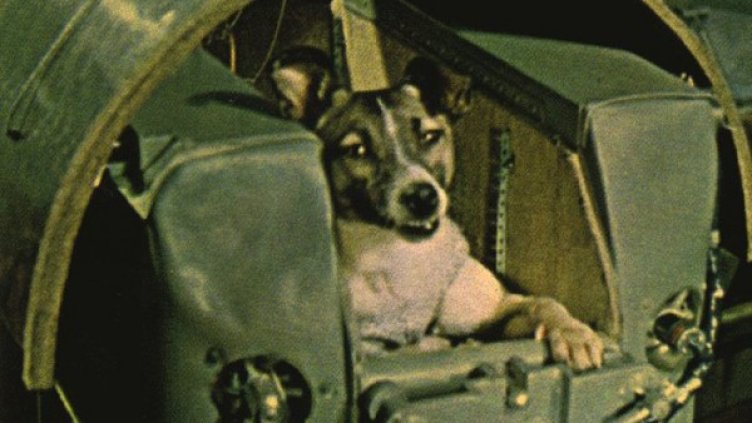 Снимка: russian7.ru