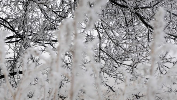 Снимка: архив, БулФото