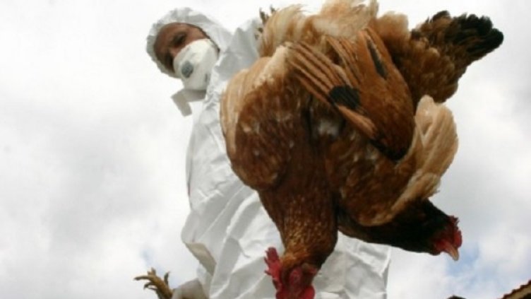 Снимка: архив, Булфото