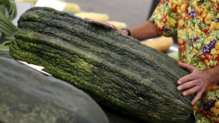 Снимка: Reuters, архив