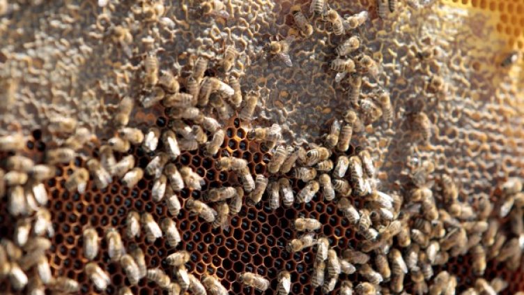 Снимка: архив Reuters