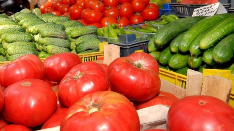 Снимка: Булфото, архив