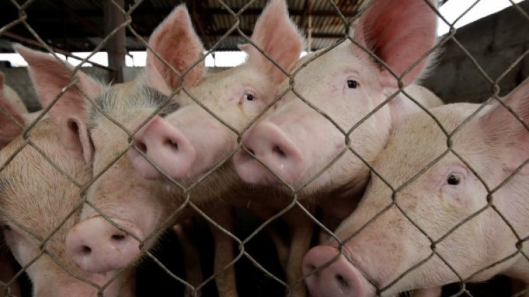 Снимка: Reuters