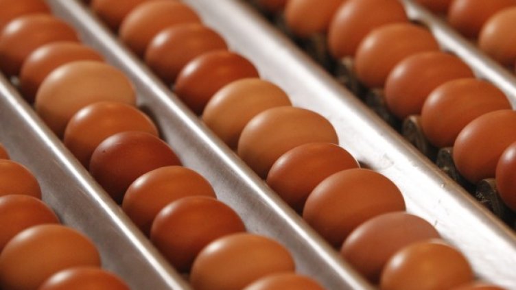 Снимка: архив, Reuters