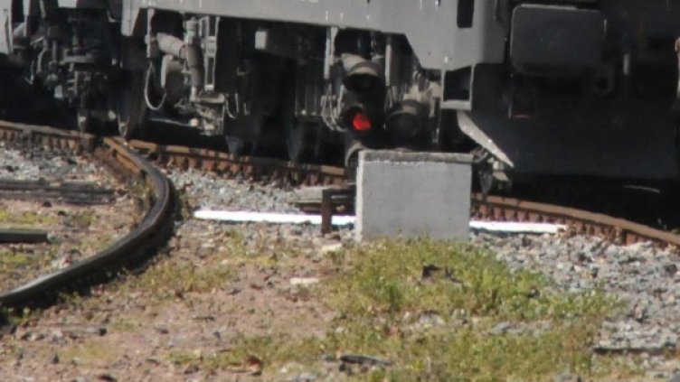 Снимка: архив Булфото