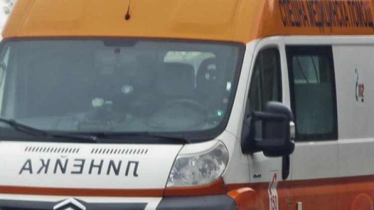 Снимка: Архив, Булфото