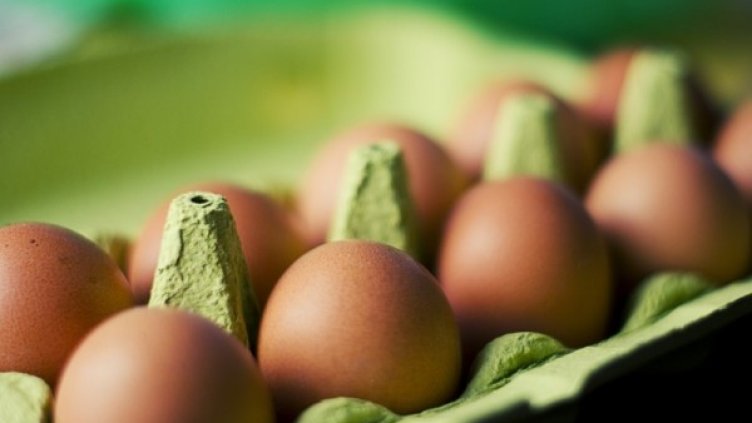 Снимка: visualhunt.com