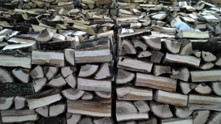 Снимка: архив, Булфото