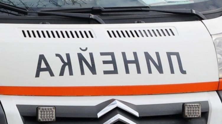 Снимка: Булфото, архив