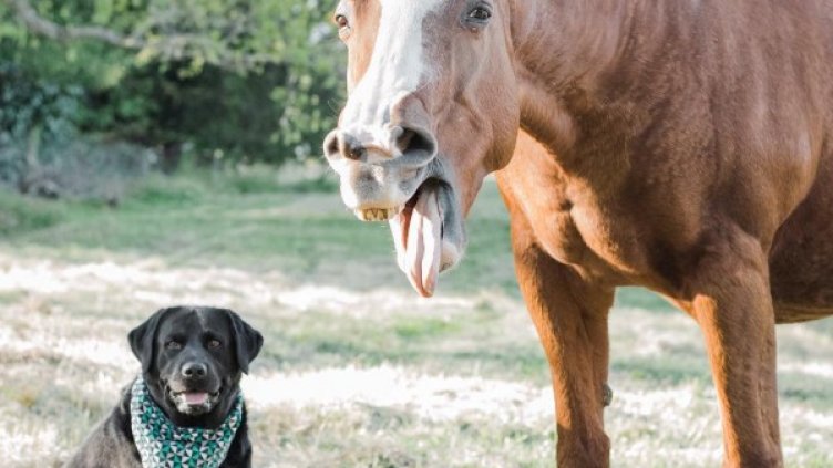 Снимка: Instagram