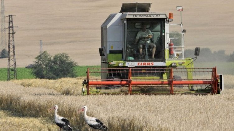 Снимка: Булфото, архив