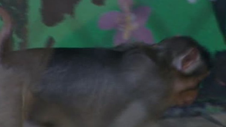 Снимка: Bulgaria ON AIR