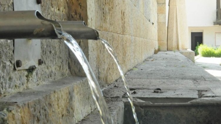 Архив: Булфото