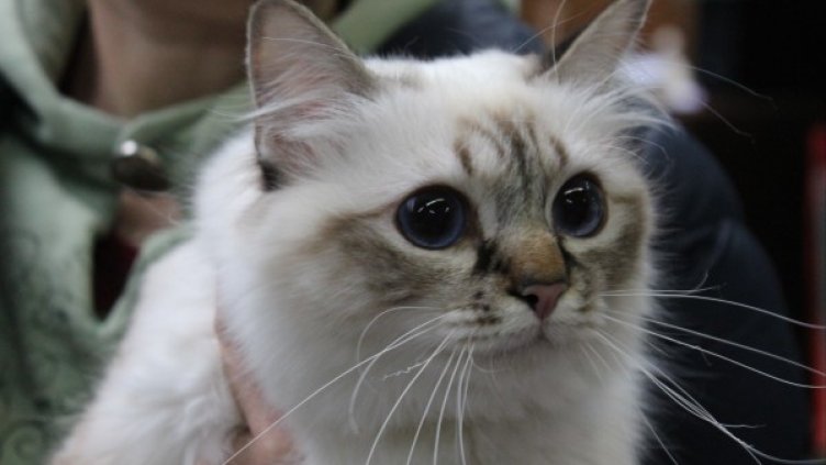 Снимка: Dnes.bg