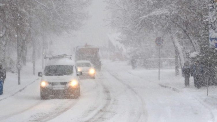 Снимка: архив, БулФото