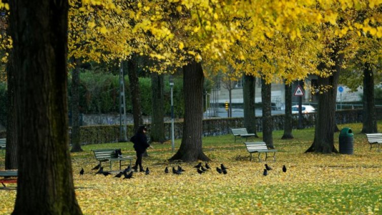 Снимка: архив, Булфото