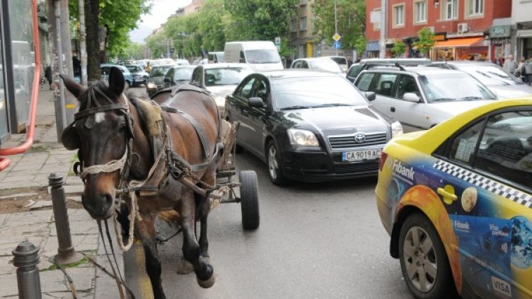 Снимка: архив, Булфото