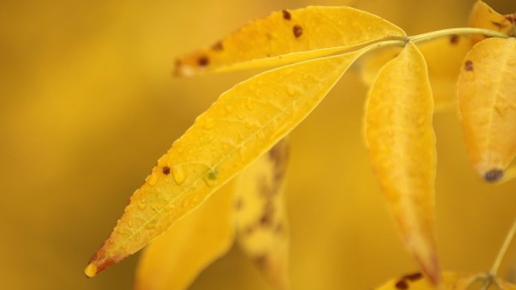 Снимка: Архив, БТА