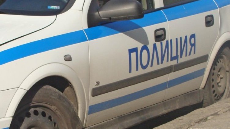 Снимка: Архив, Булфото