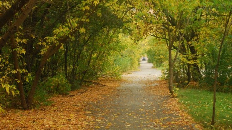 Снимка: visualhunt.com