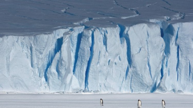 Снимка: Reuters, архив