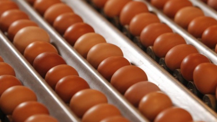 Снимка: архив, Reuters