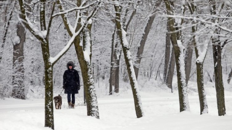 Снимка: Reuters