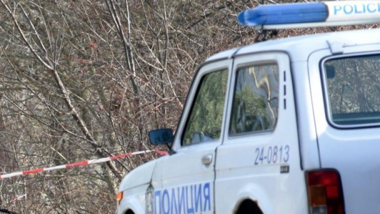 Снимка: архив "Булфото"