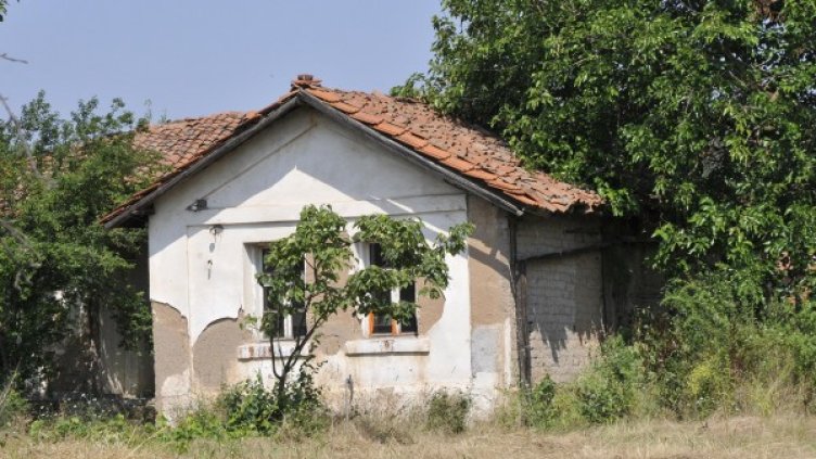 Снимка: Булфото, архив