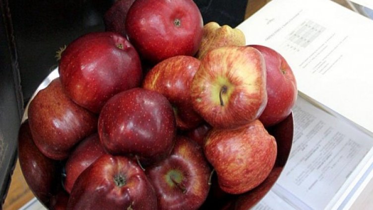 Архив: Булфото