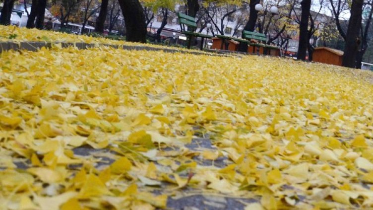 Снимка: БТА, архив