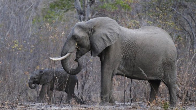 Снимка: архив, Reuters