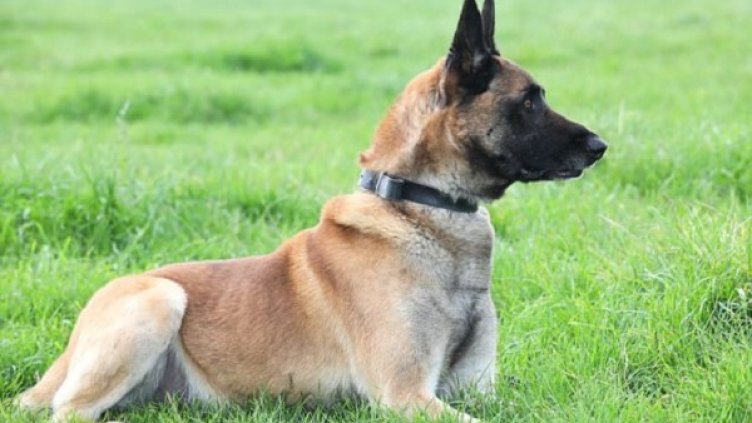 Снимка: Daily Mail