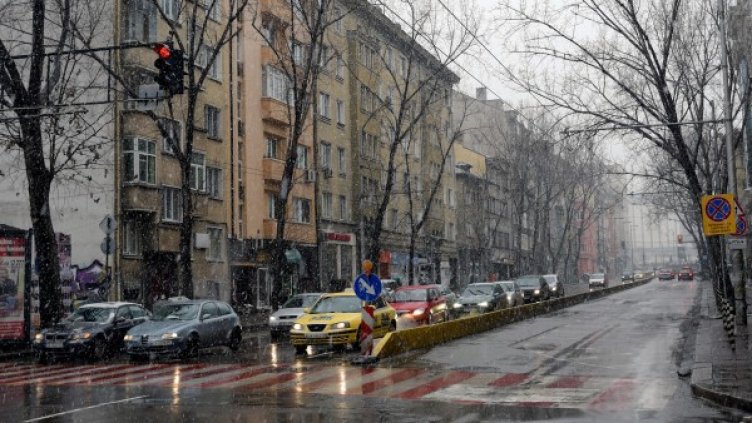 Снимка: Булфото