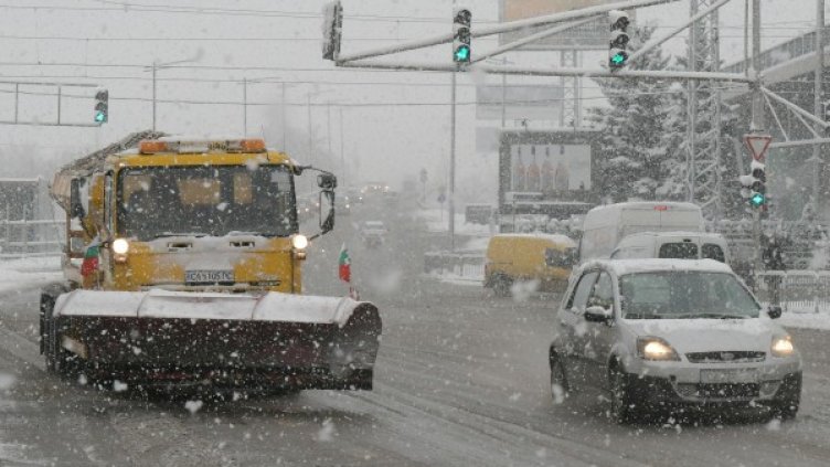 Снимка: архив "Булфото"