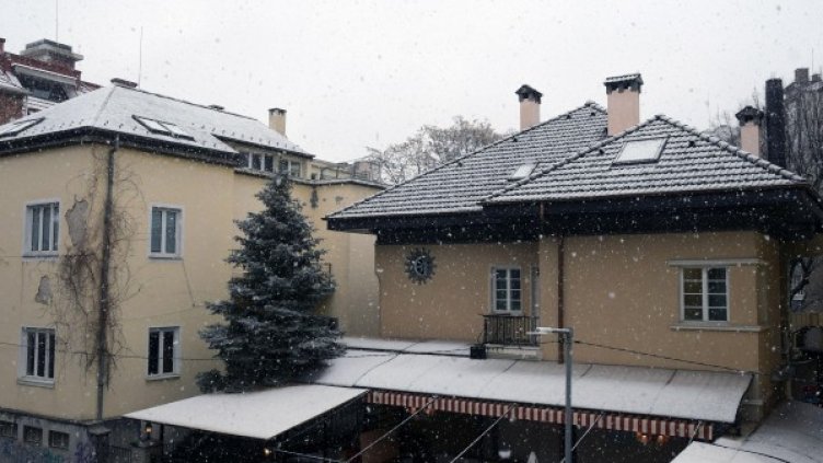 Снимка: архив "Булфото"