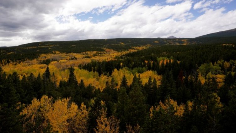 Снимка: Reuters, архив